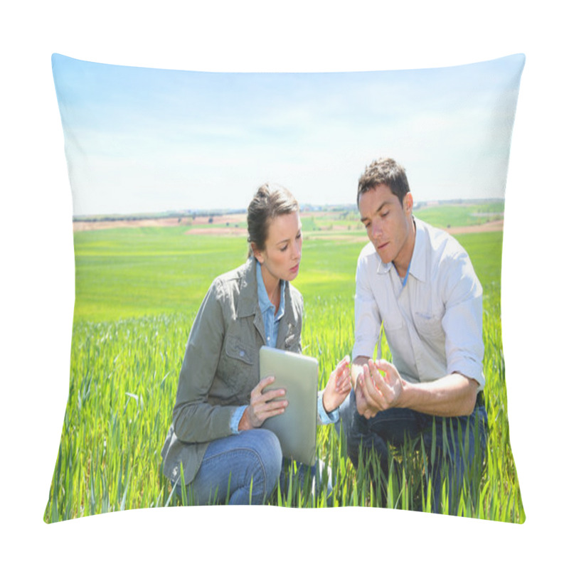 Personality  Agronomist Looking At Wheat Quality With Farmer Pillow Covers