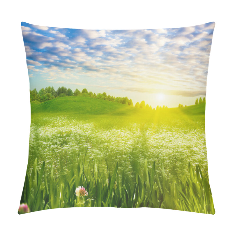 Personality  Beauty Evening On The Meadow, Abstract Summer Landscape Pillow Covers