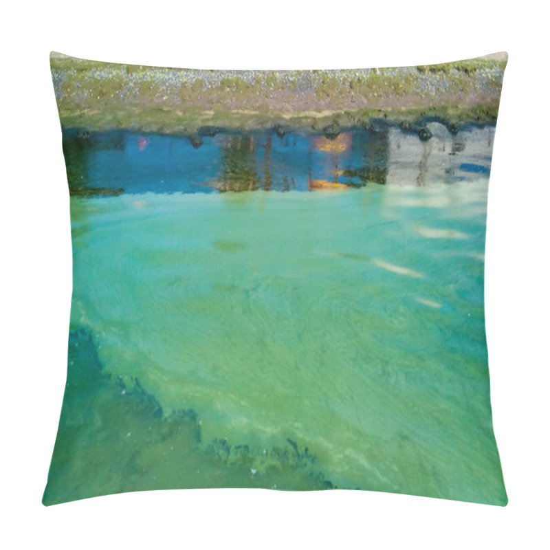 Personality  Water Bloom, Algae Float On The Surface Of The Water In The Black Sea, A Toxic Blue-green Algae (Nodularia Spumigena), Ecological Disaster Pillow Covers