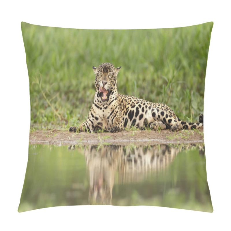 Personality  Close Up Of A Jaguar On A River Bank Pillow Covers