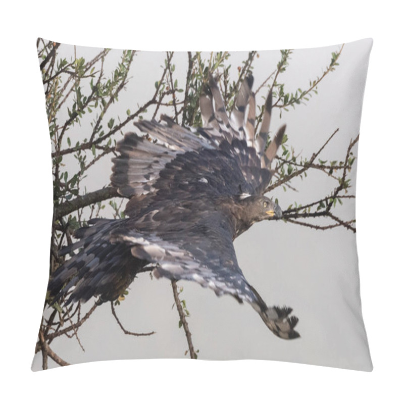 Personality  African Crowned Eagle Takes Off From Branch Pillow Covers