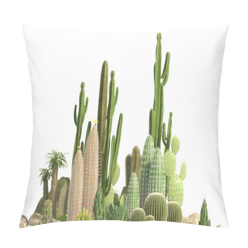 Personality  Decorative Composition Composed Of Groups Of Different Species Of Cacti, Aloe And Succulent Plants Isolated On White Background. Front View. 3D Rendering. Pillow Covers