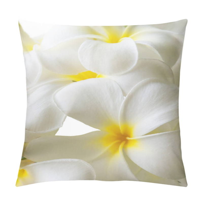 Personality  White Frangipani Flowers Pillow Covers