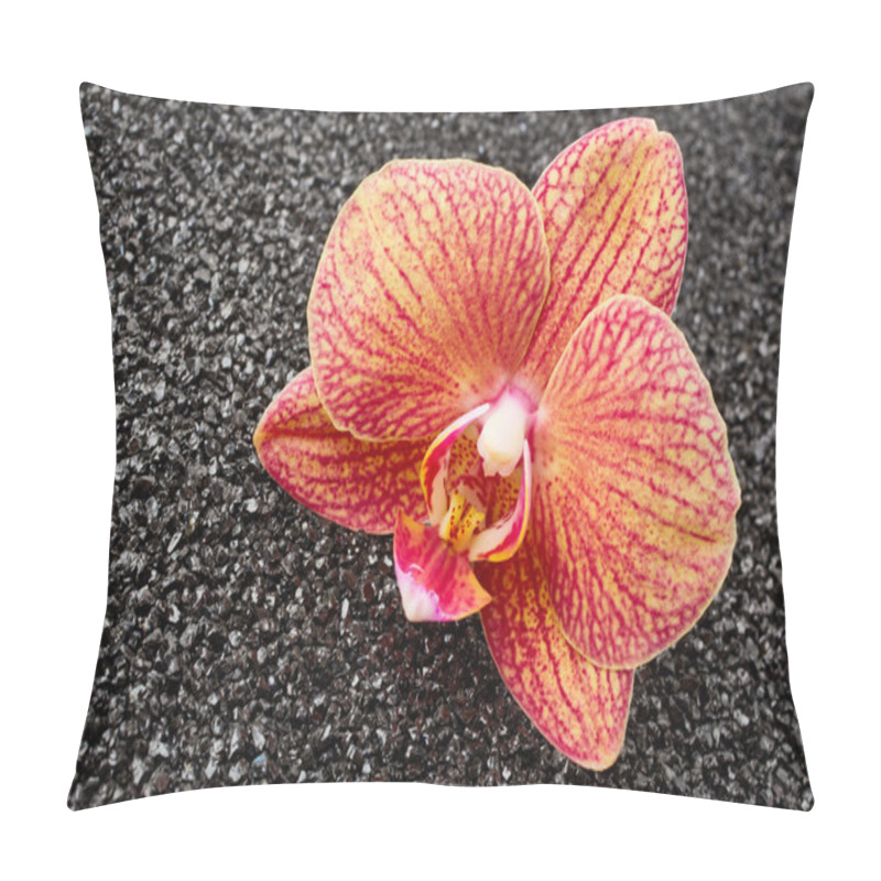 Personality  Beautiful Orchid Flower  Pillow Covers