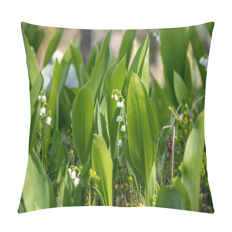 Personality  View Of Lily Of The Valley In The Swiss Alps Pillow Covers