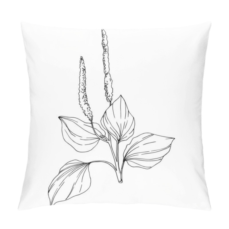 Personality  Vector Wildflowers Floral Botanical Flowers. Black And White Engraved Ink Art. Isolated Flower Illustration Element. Pillow Covers