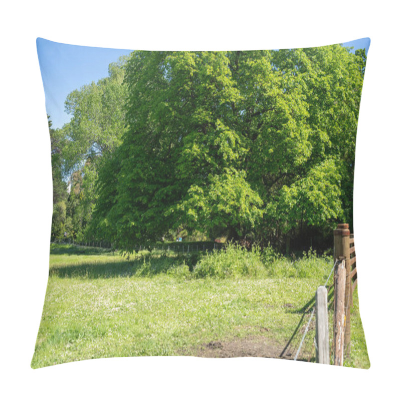 Personality  Trees In A Meadow On A Farm In A Country Estate On A Farm In Spring Pillow Covers