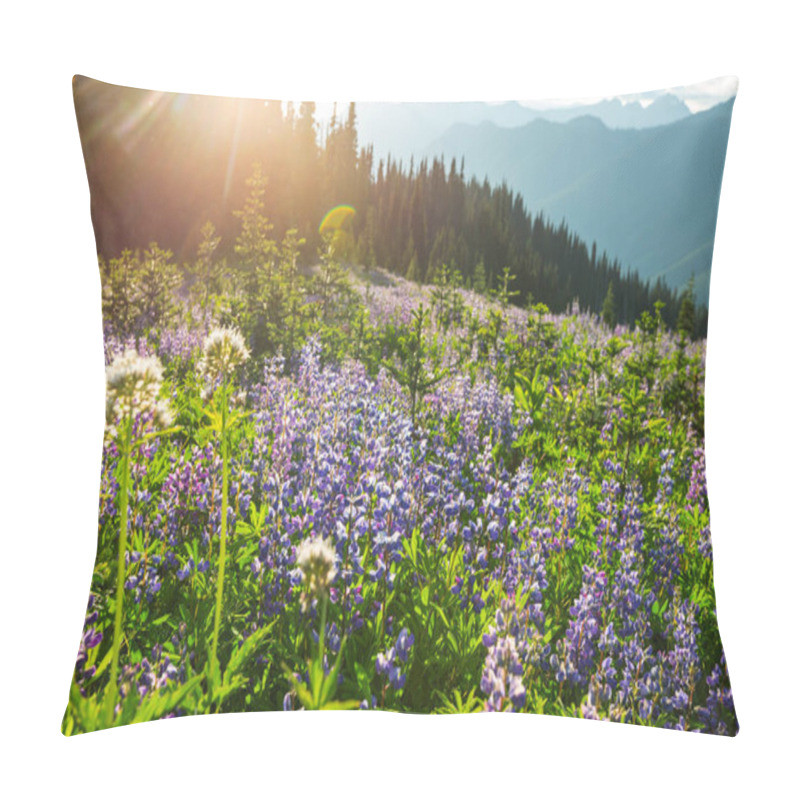 Personality  Mountain Meadow In Sunny Day. Natural Summer Landscape. Pillow Covers