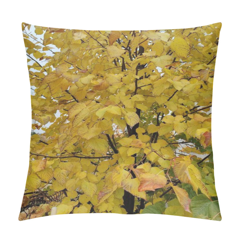 Personality  Golden Autumn Leaves With Dark Speckles, Representing The Passage Of Time And Nature's Imperfections, As A Metaphor For Beauty In Flaws And Seasonal Transformation Amidst The Warm Glow Of Fall Pillow Covers