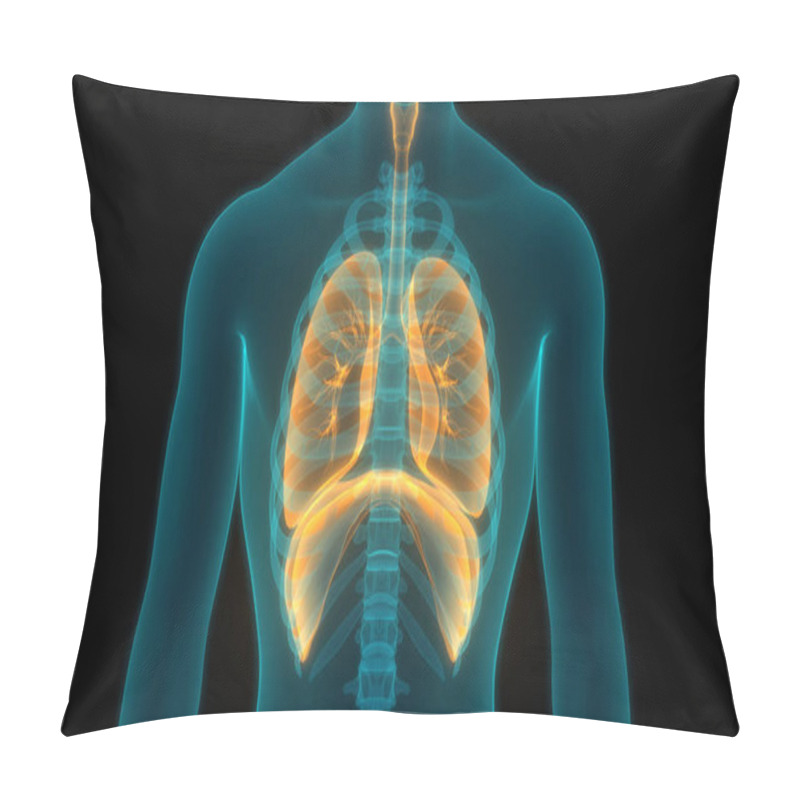 Personality  Human Respiratory System Lungs Anatomy. 3D  Pillow Covers