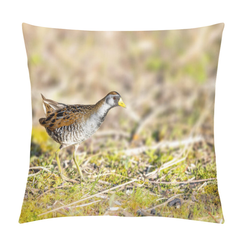 Personality  Sora Rail Or Sora Crake Looking For Food By A Lake In Michigan Pillow Covers