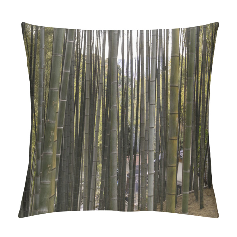 Personality  A Bamboo Forest In Kyoto, Japan . High Quality Photo Pillow Covers