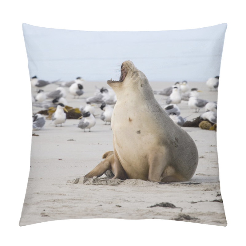 Personality  Sea Lion Yawning Pillow Covers