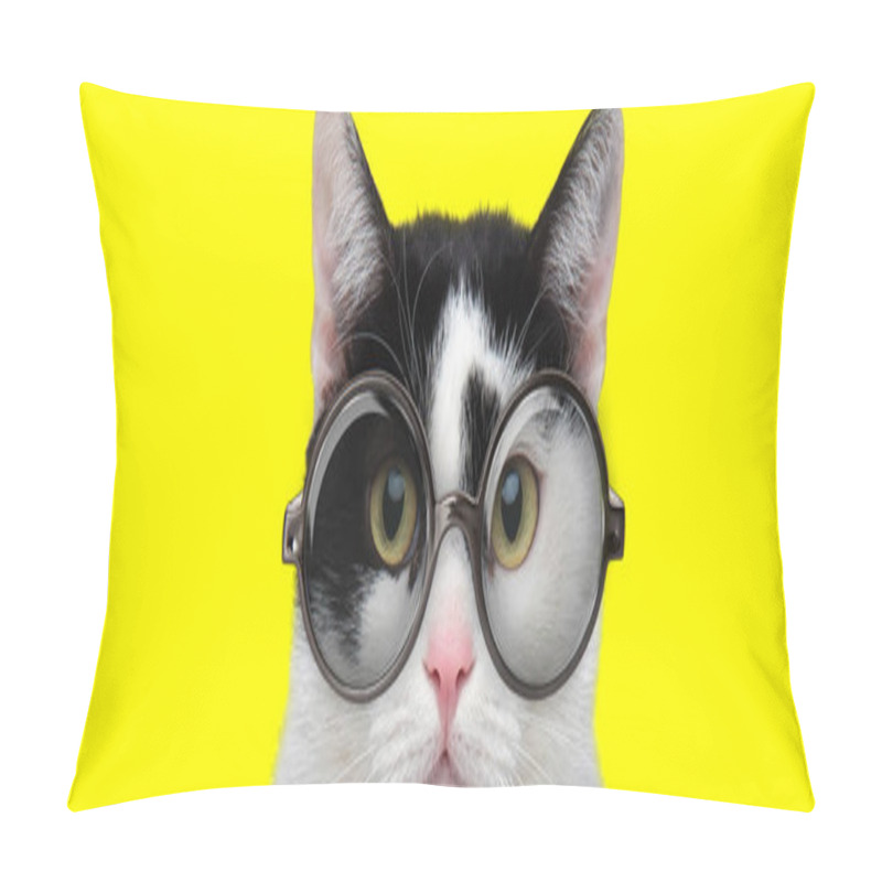 Personality  Cute Domestic Cat Looking Afraid And Wearing Glasses On Yellow Background Pillow Covers