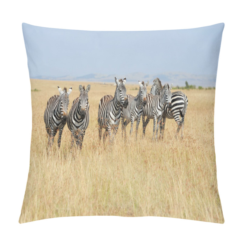 Personality  Zebra Pillow Covers