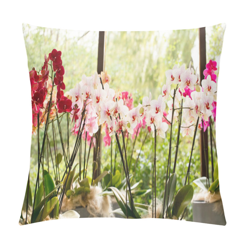 Personality  Orchid Flowers Pillow Covers