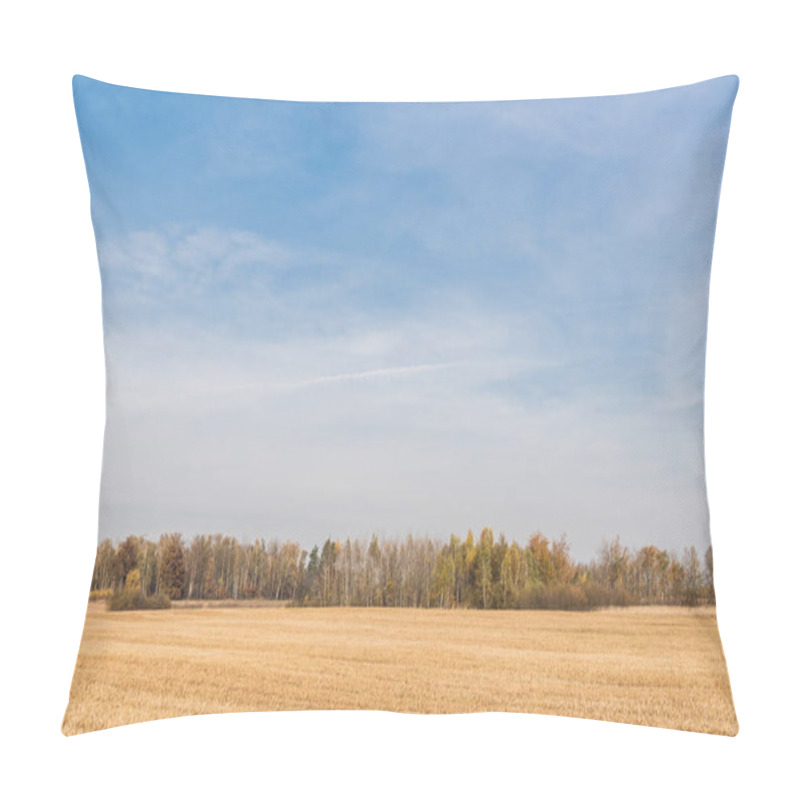 Personality  Golden Meadow Near Green Trees Against Blue Sky With Clouds  Pillow Covers