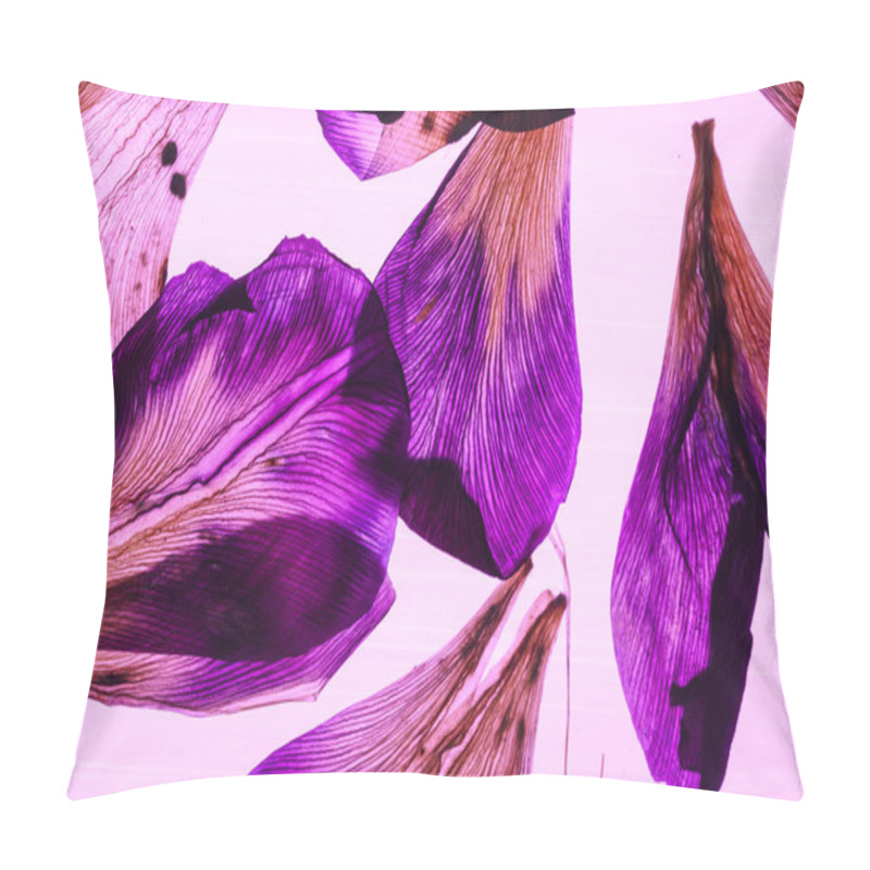 Personality  Light Through Iris Petals Closeup Pillow Covers