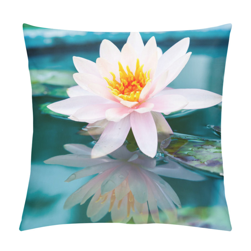 Personality  A Beautiful Pink Waterlily Or Lotus Flower In Pond Pillow Covers