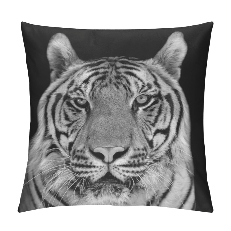 Personality  Tiger Pillow Covers