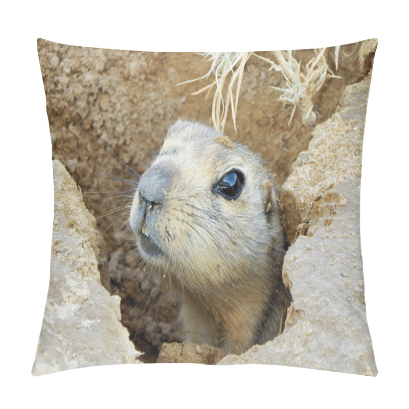 Personality  Gopher Looks Out Of A Mink. Pillow Covers