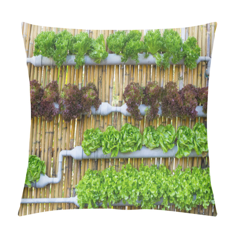 Personality  Hydroponic Vertical Gardening Pillow Covers