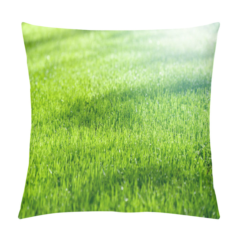 Personality  Green Grass With Sunlight, Background Pillow Covers