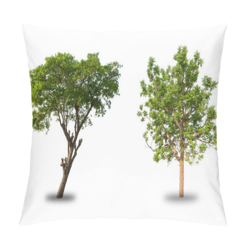 Personality  Isolated Tree Collection On White Background Pillow Covers