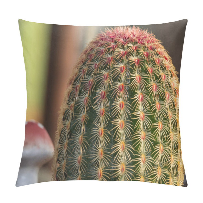 Personality  Rainbow Hedgehog Cactus (Echinocereus Rigidissimus), Close-up Of Greenhouse Cactus. Pillow Covers