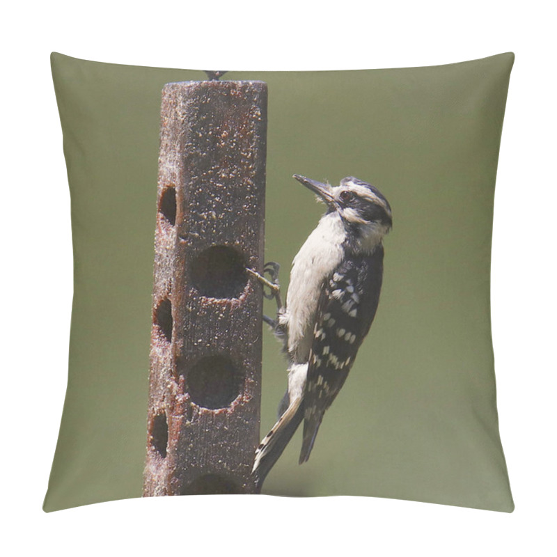 Personality  Hairy Woodpecker (female) (picoides Villosus)  Pillow Covers