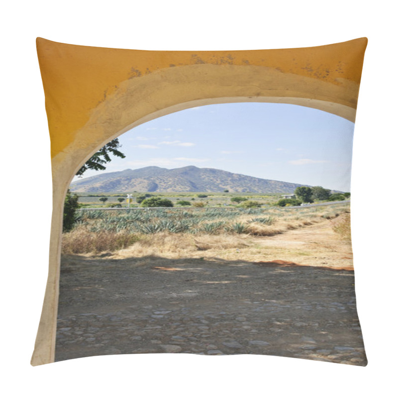 Personality  Landscape With Agave Cactus Field In Mexico Pillow Covers