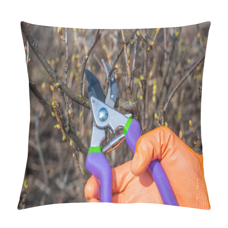 Personality  Human Hand In Orange Garden Glove Holding Pruner Against Currant Bush. Pruning Shrubs With Secateur In Early Spring. Gardening Concept Pillow Covers