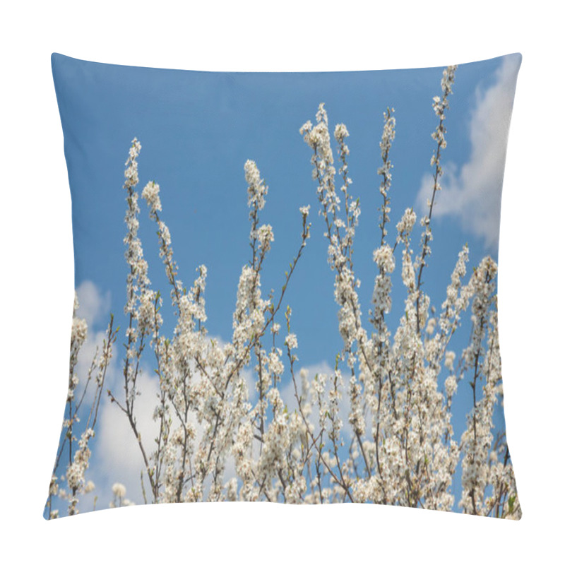 Personality  Selective Focus Of Beautiful Branches Of Plum Blossoms On The Tree Under Blue Sky, Beautiful Sakura Flowers During Spring Season In The Park, Floral Pattern Texture, Nature Background. Pillow Covers