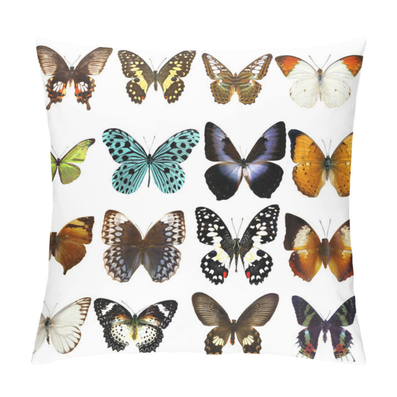 Personality  Collection Of Beautiful Tropical Butterflies Isolated On White Background Pillow Covers