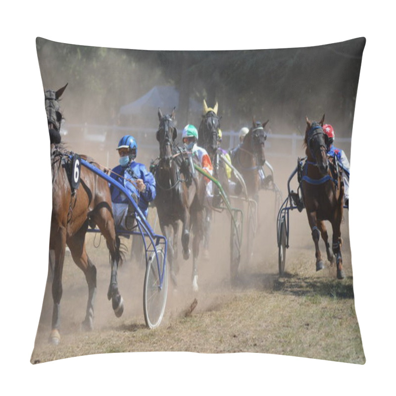 Personality  View On A Horse Racecourse Pillow Covers