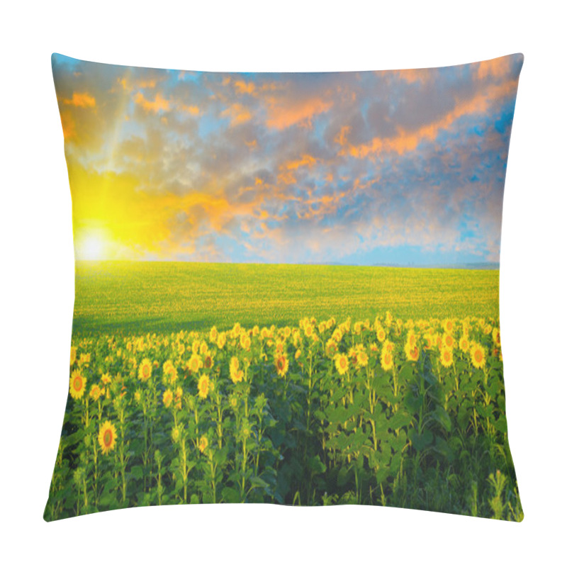 Personality  Field Of Sunflowers And Sunrise Pillow Covers