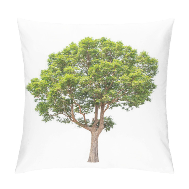 Personality  Irvingia Malayana Also Known As Wild Almond, Tropical Tree In Th Pillow Covers