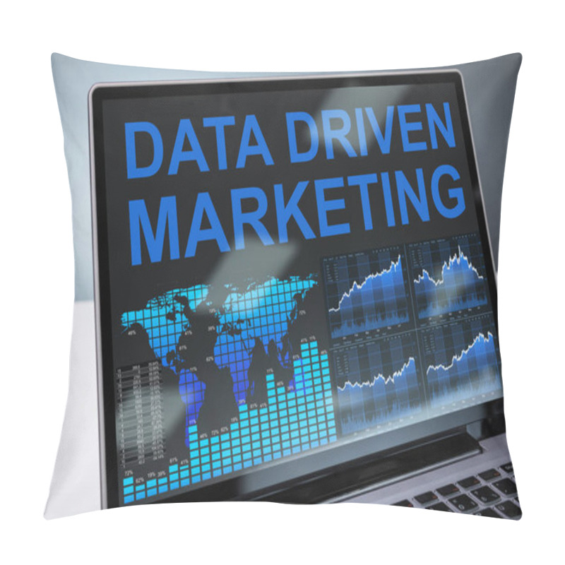 Personality  Data Driven Marketing Graph On Laptop In Office Pillow Covers