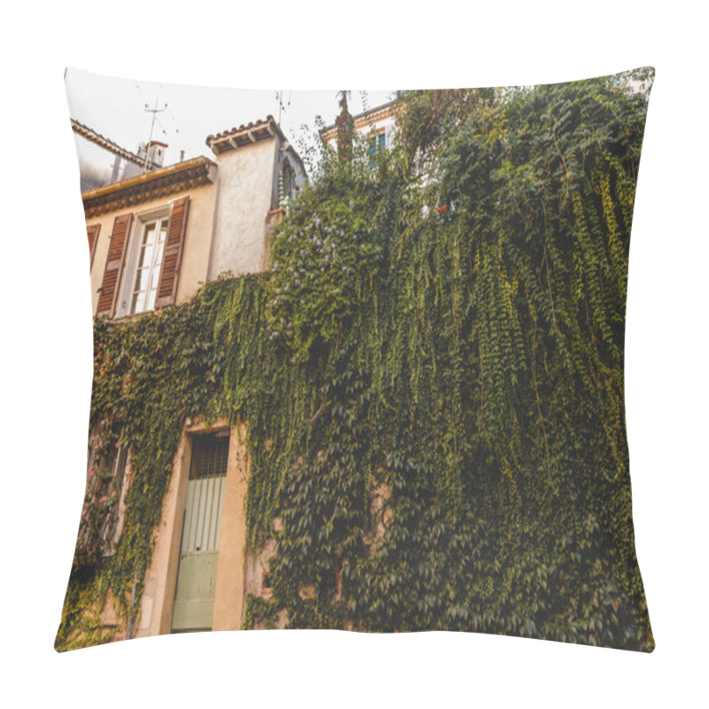 Personality  Vine Pillow Covers