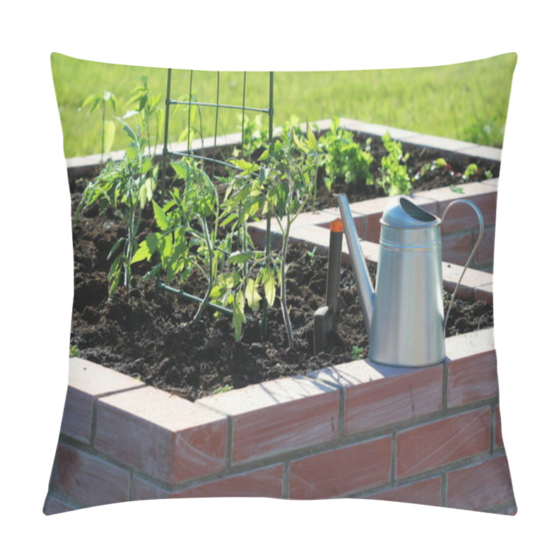 Personality  A Modern Vegetable Garden With Raised Briks Beds With Growing Tomato . Pillow Covers