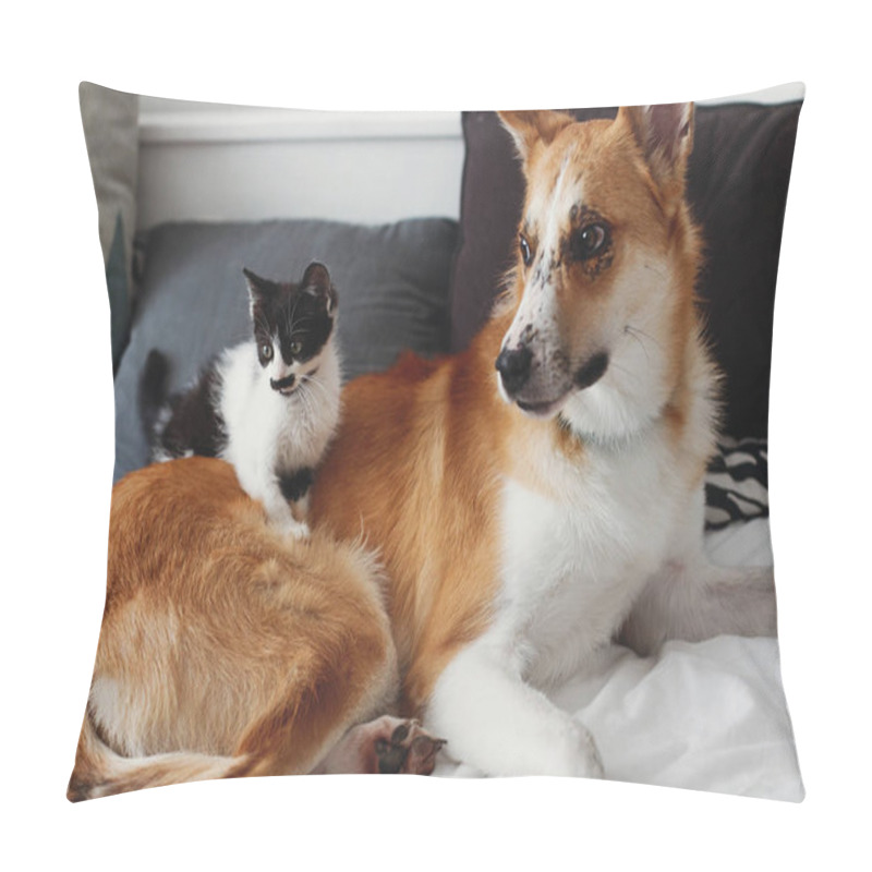 Personality  Cute Little Kitty Sitting On Big Golden Dog On Bed With Pillows In Stylish Room. Adorable Black And White Kitten And Puppy With Funny Emotions Playing Together On Blanket. Best Friends Pillow Covers