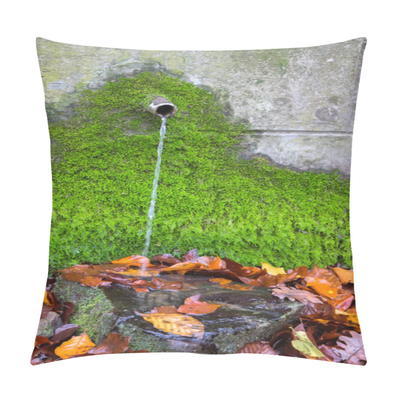 Personality  Clean Fresh Water From Water Source With Green Moss Pillow Covers