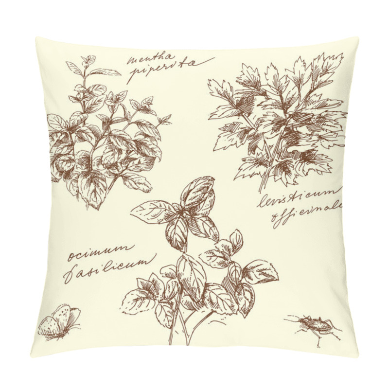 Personality  Herbs - Hand Made Drawing Pillow Covers