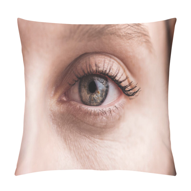 Personality  Close Up View Of Young Woman Grey Eye With Eyelashes And Eyebrow Looking At Camera Pillow Covers