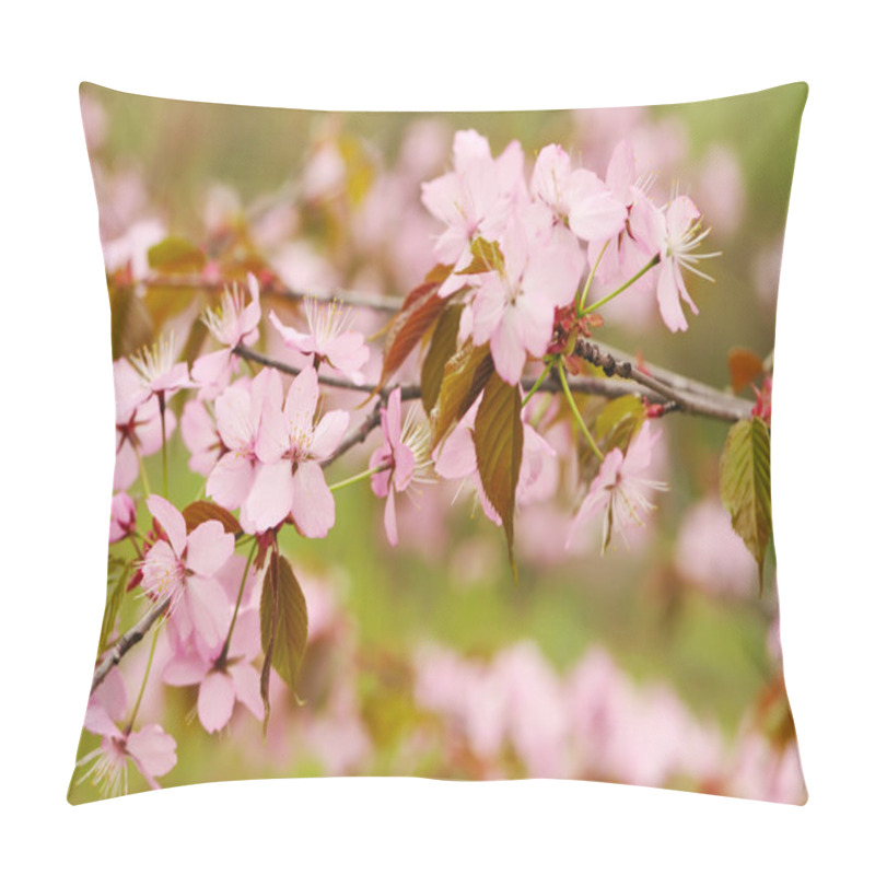 Personality  Spring Sakura Pillow Covers