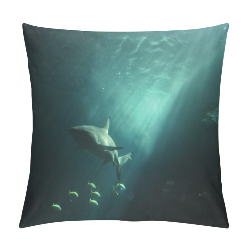 Personality  White Shark Flaoting In The Deep Ocean Pillow Covers