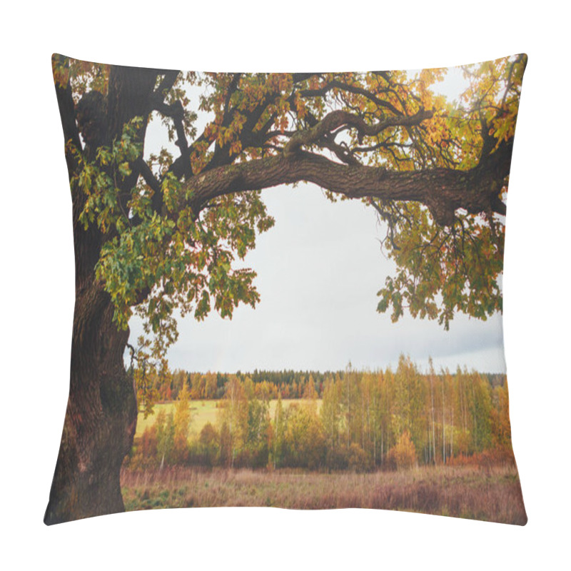 Personality  Oak Tree Branch, Copy-space Background Pillow Covers