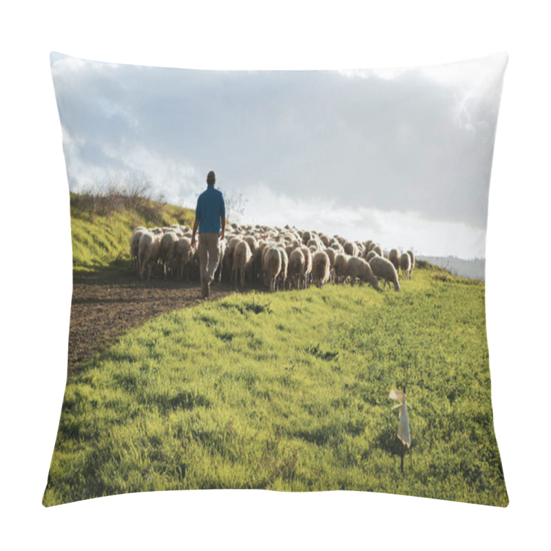 Personality  Scenic Farmland Scenery With Flock Of Shepherd Walking With Sheep And Lambs On Green Pasture In Tuscany, Italy, Europe Pillow Covers