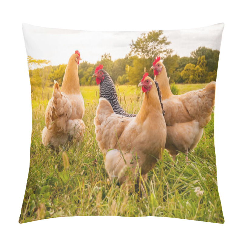 Personality  Some Foraging Chickens Pillow Covers