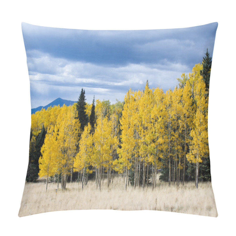 Personality  Golden Field Pillow Covers